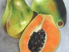 frutas_do_brasil_42