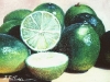 frutas_do_brasil_61